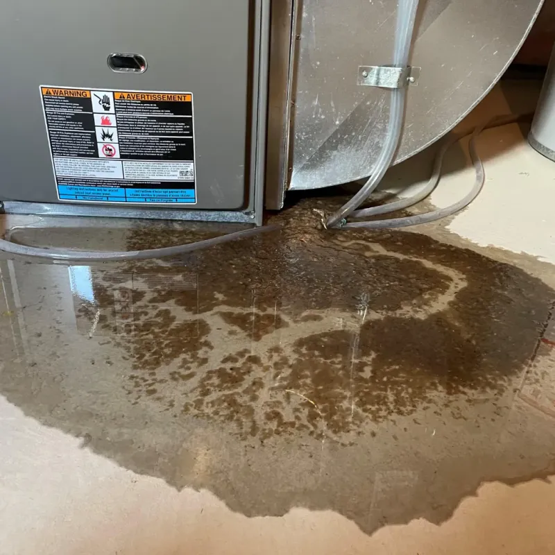 Appliance Leak Cleanup in Fairmead, CA